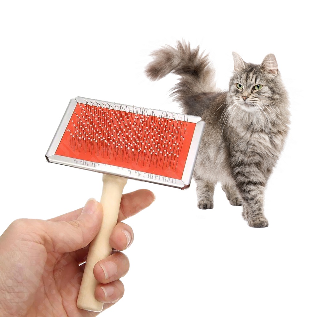 Cepillo Cardina Pequeno