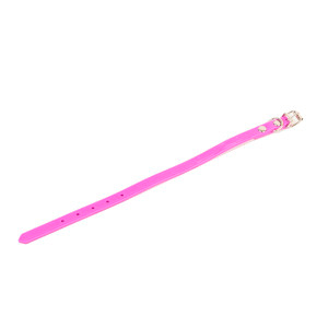 Collar P/Mascota Goma 2.5X55Cm