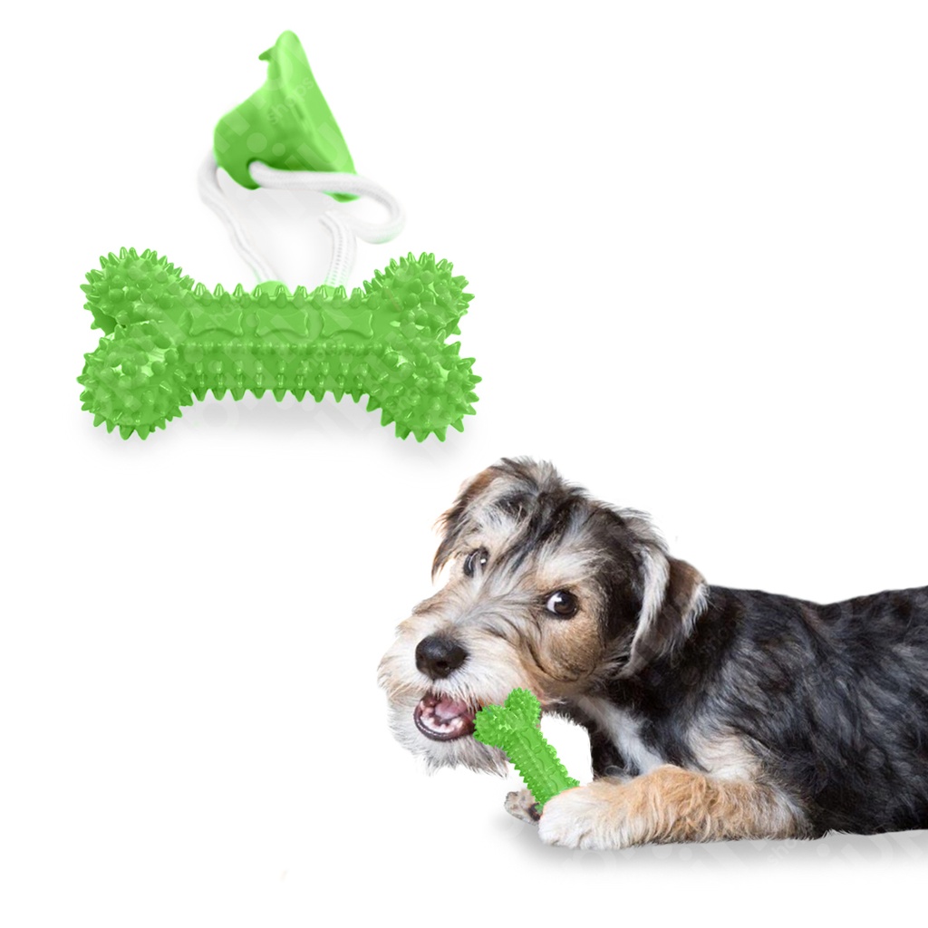 Juguete Ventosa Resoltera Hues