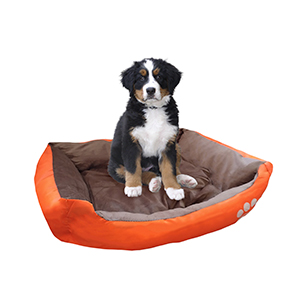 Cama Moises Mascotas 59Cm
