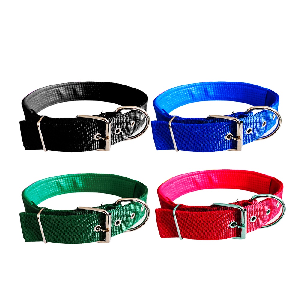 Collar Para Perro 4Cm