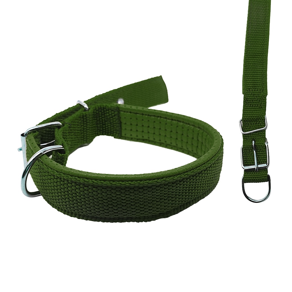 Collar Para Perro 2.5Cm