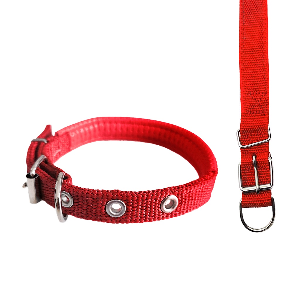 Collar Para Perro 1.5Cm