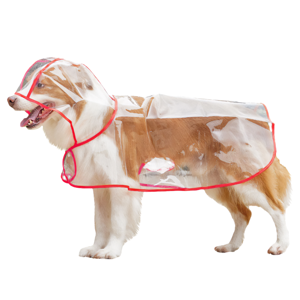 Piloto Capa Con Capucha Transparente Con Borde de color