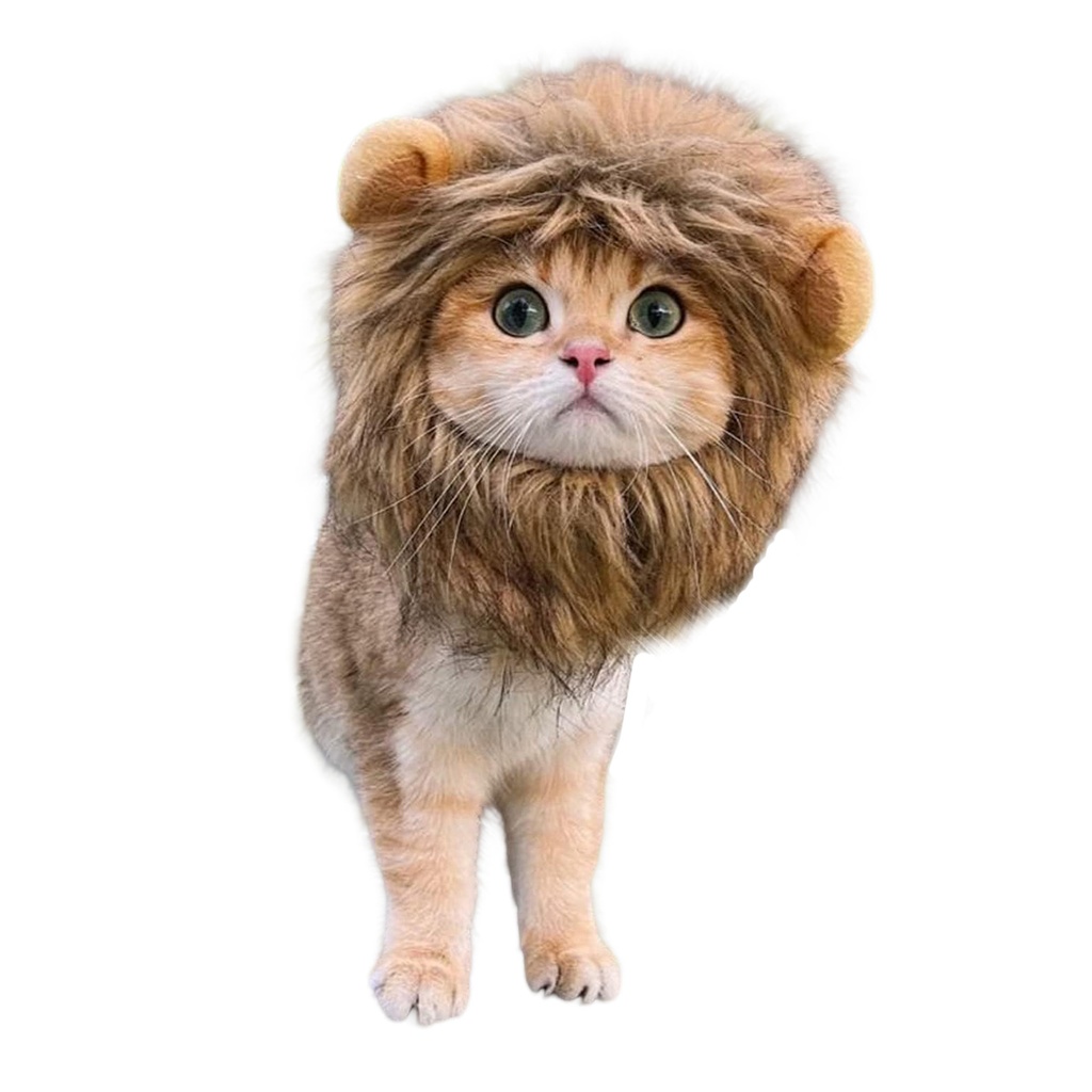 Gorro Sombrero Distraz para Gato