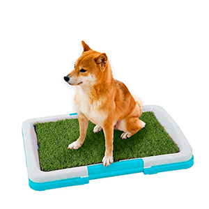 [13057CE] Bandeja Alfom Sanitria 47X34Cm