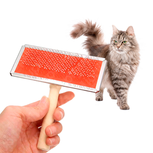 [13068 MD] Cepillo Cardina Mediano