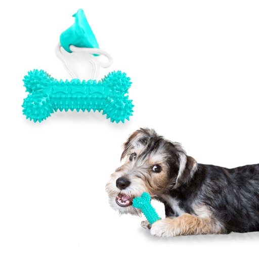 [13111AZ] Juguete Ventosa Resoltera Hues