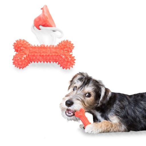 [13111RO] Juguete Ventosa Resoltera Hues