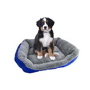 [1317BAZ] Cama Moises Mascotas 59Cm