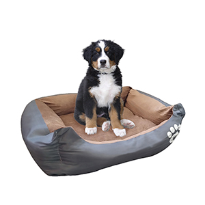 [1317CGR] Cama Moises Mascotas 70Cm