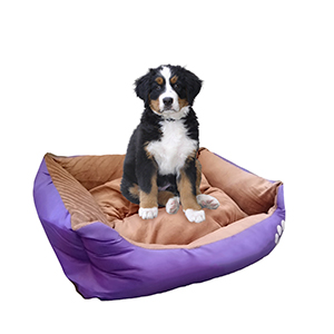 [1317CVI] Cama Moises Mascotas 70Cm