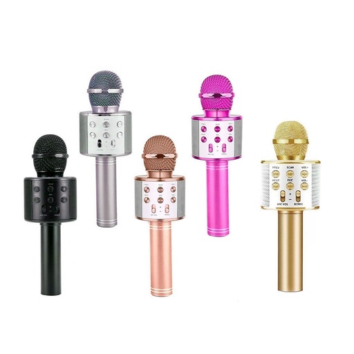 [14015NE] Microfono Karaoke Inalambrico