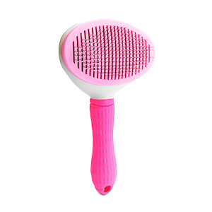 [13166 RS] Cardina Cepillo