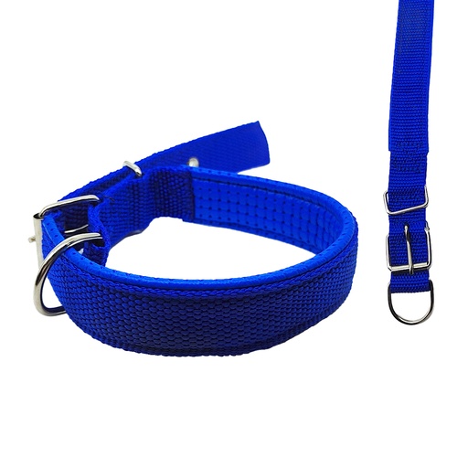 [13183AZ] Collar Para Perro 2.5Cm