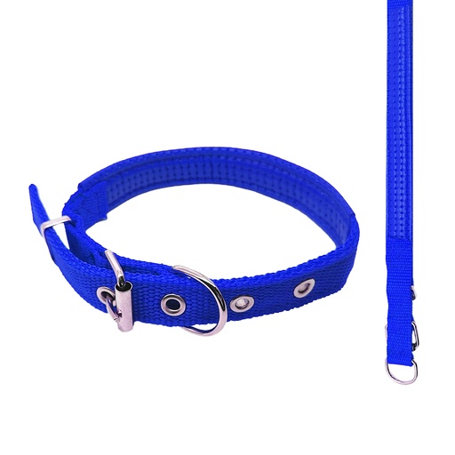 [13182AZ] Collar Para Perro 2Cm