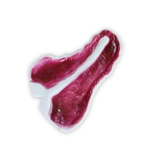 [13189SR] Juguete Chifle Bistec