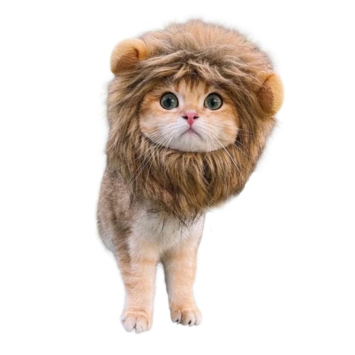 [13202 SRM] Gorro Sombrero Distraz para Gato